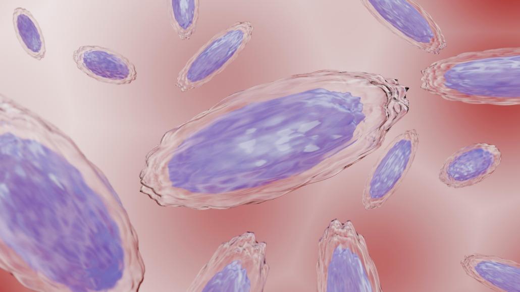 Integratore Naturale Akkermansia Muciniphila - Nuova Formula Per Salute Intestinale, 30/60/120 Capsule, Senza Gusto Capsule Probiotiche - Foto 6